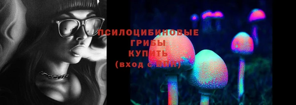 дмт Абинск