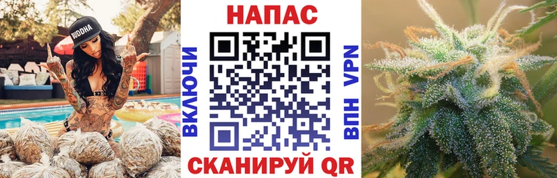 Шишки марихуана ГИДРОПОН  Сызрань 